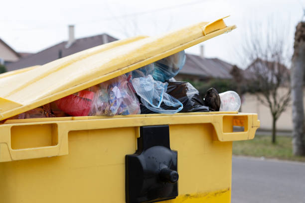 Best Basement Cleanout  in Belle Plaine, IA